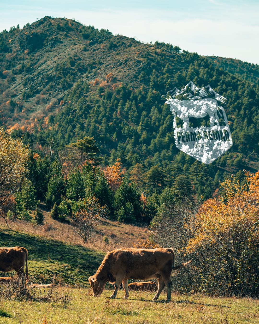 Ferma Remar në Ersekë